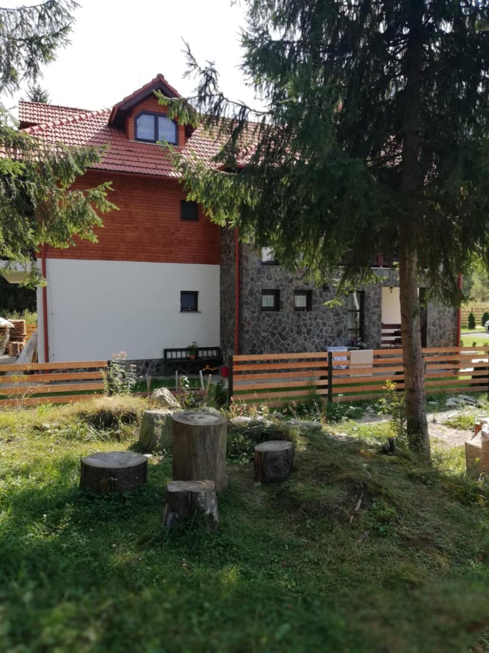 Pensiunea Pietrosul Rodnei Moisei Exterior photo